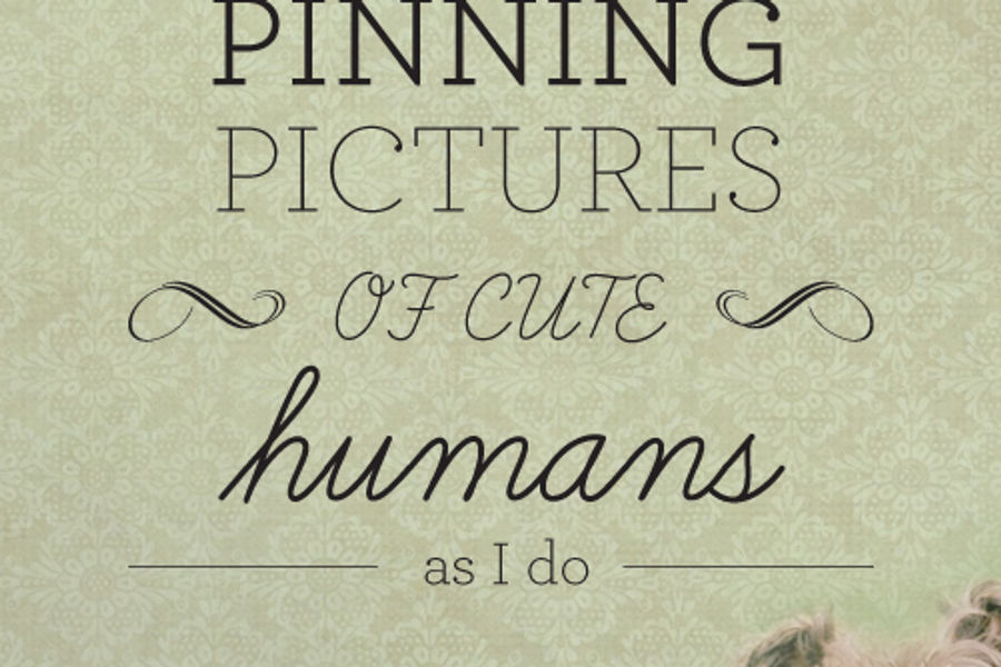 Pintermission animals